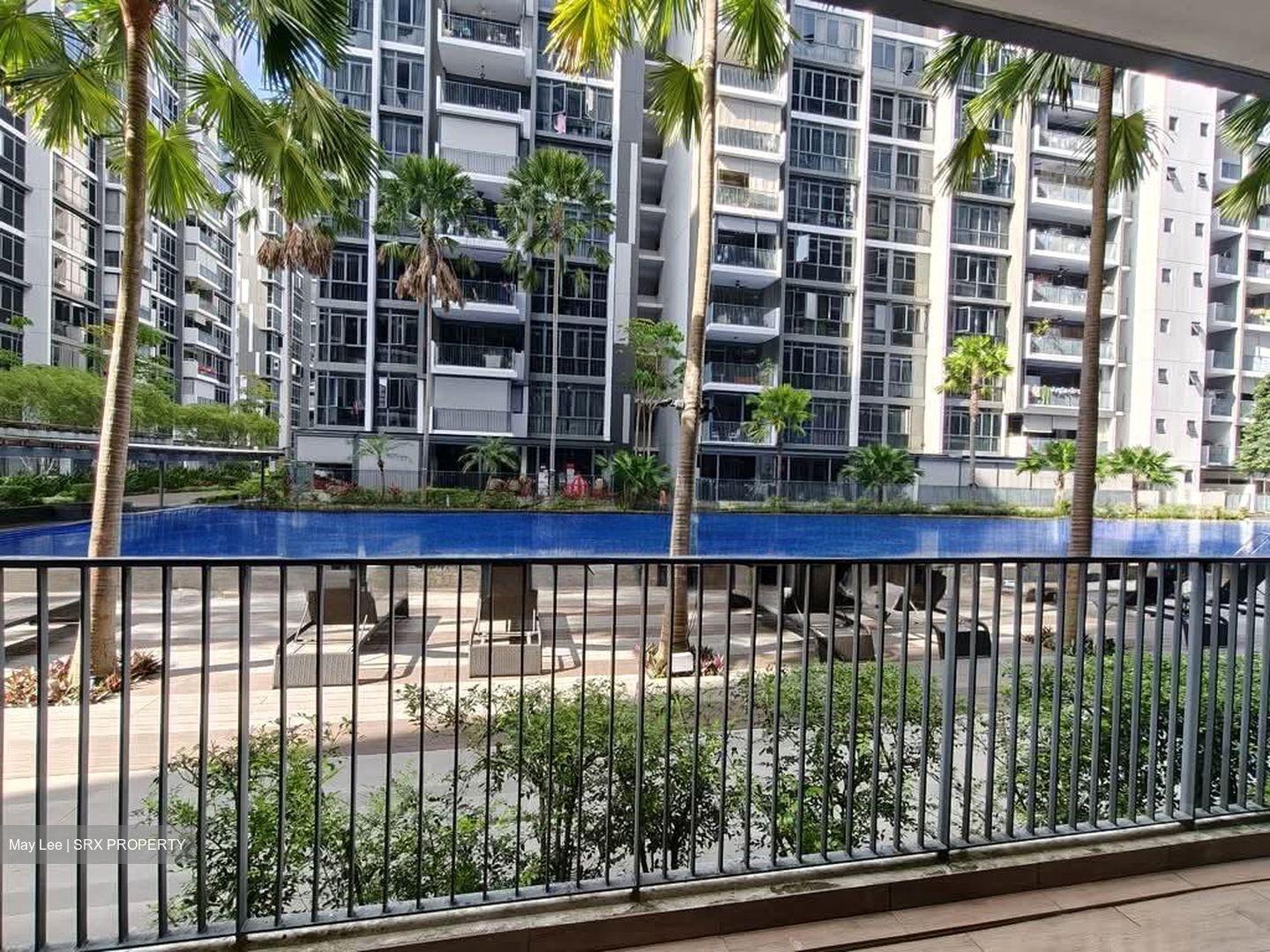 La Fiesta (D19), Condominium #566237481